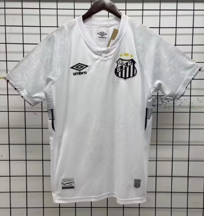 Fans Verison 24/25 santos home