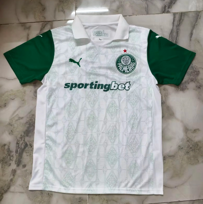 Fans Verison 25/26 Palmeiras away