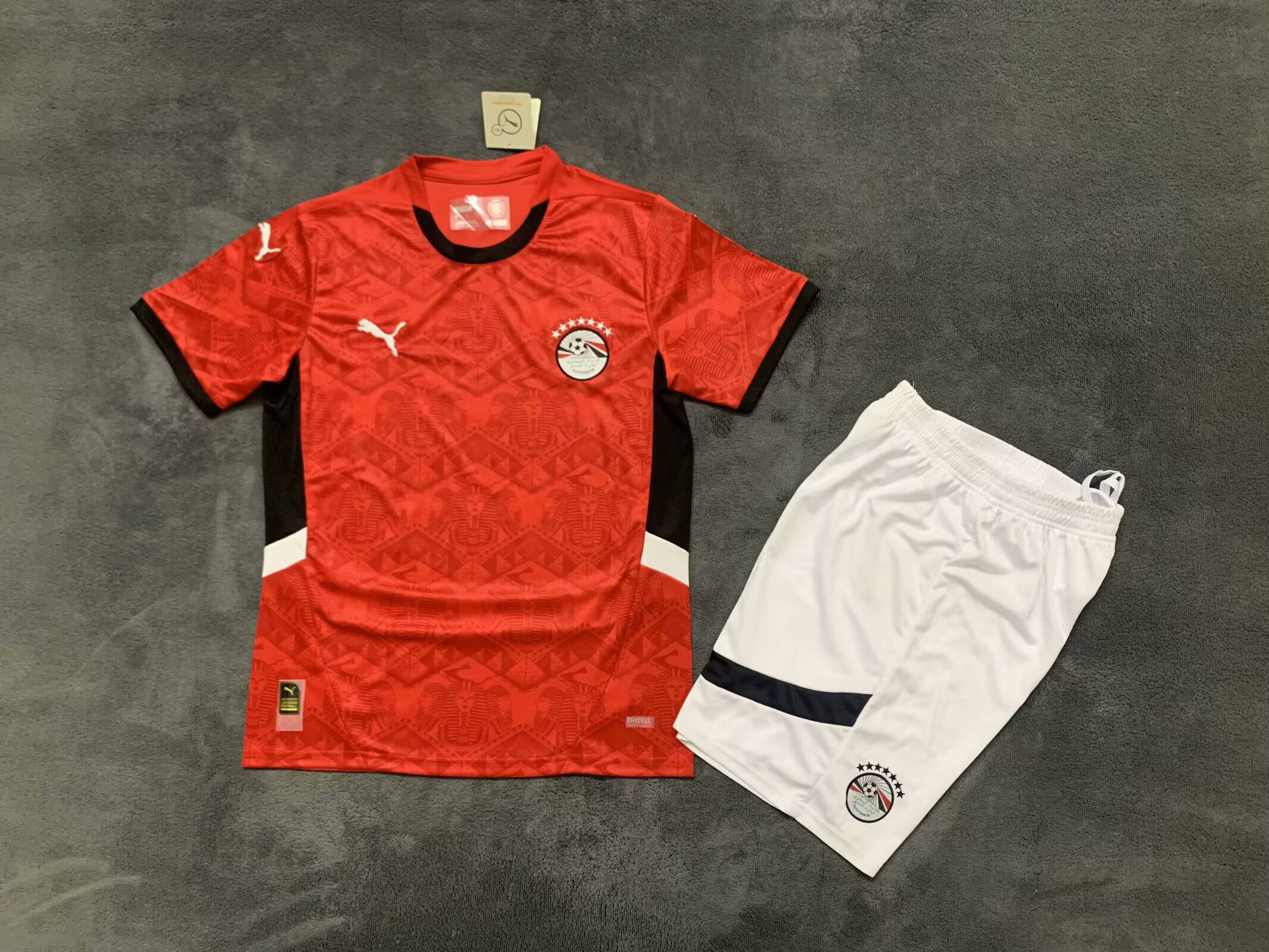Adults kits25/26 Egypt  home