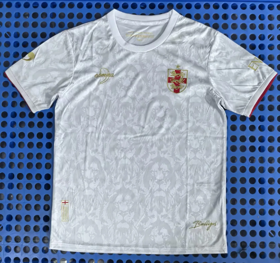 Fan Version25/26 England lion head white training jersey
