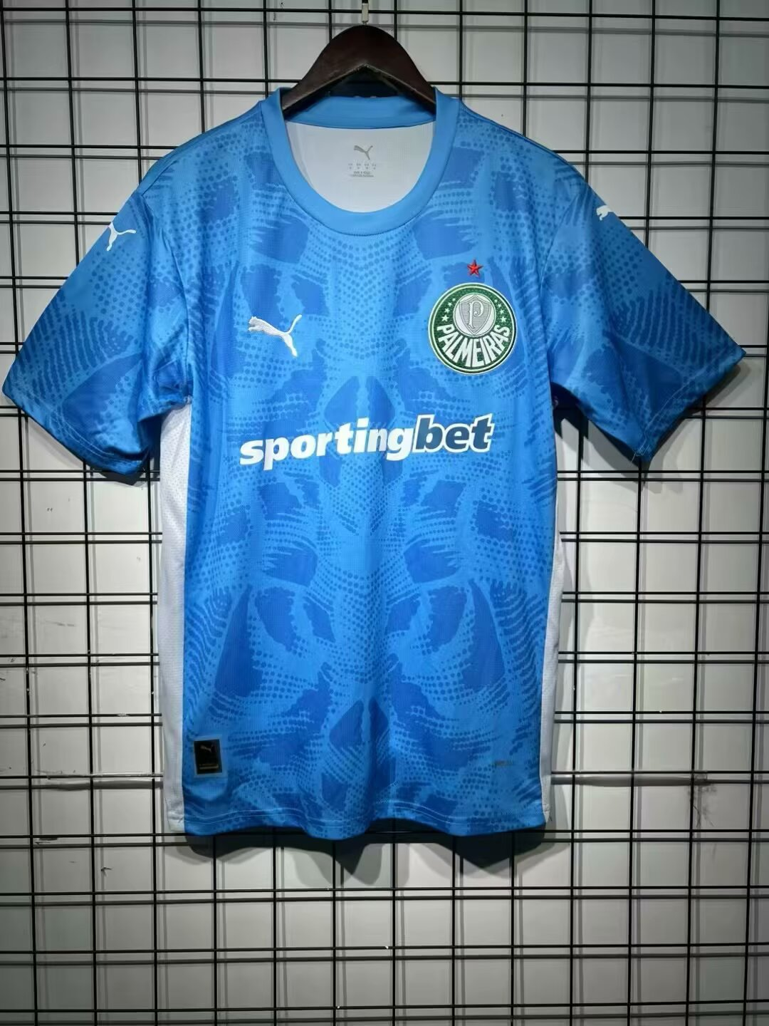 Fans Verison 25/26Palmeiras blue goalkeeper 