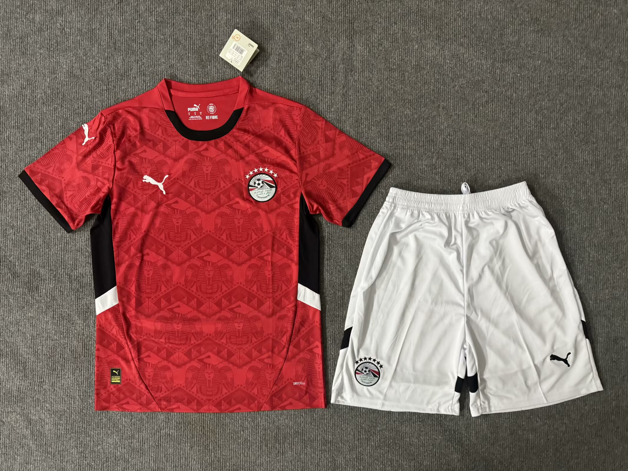 25/26Egypt Adults kits home