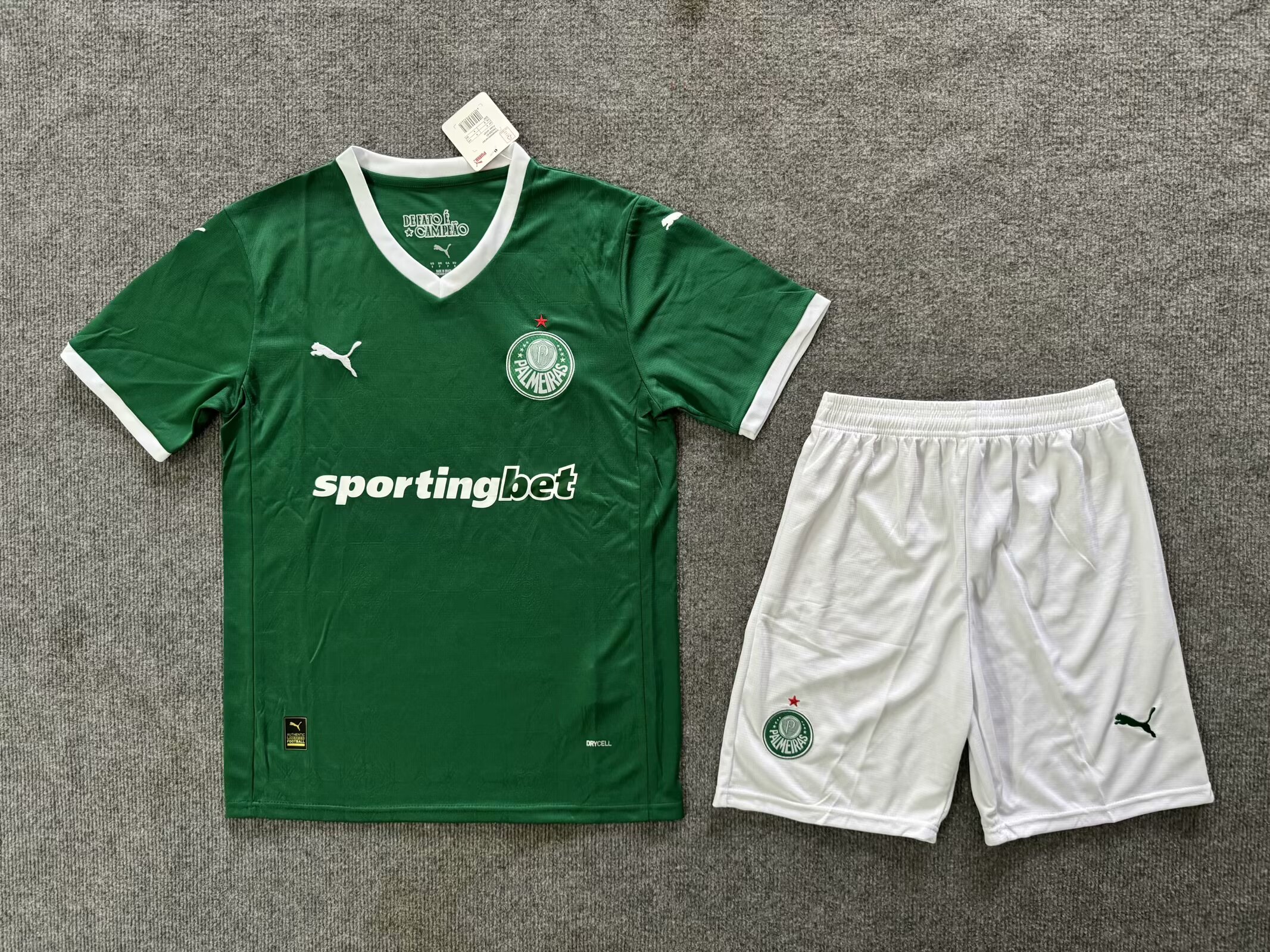 25/26Palmeiras Adults kits home