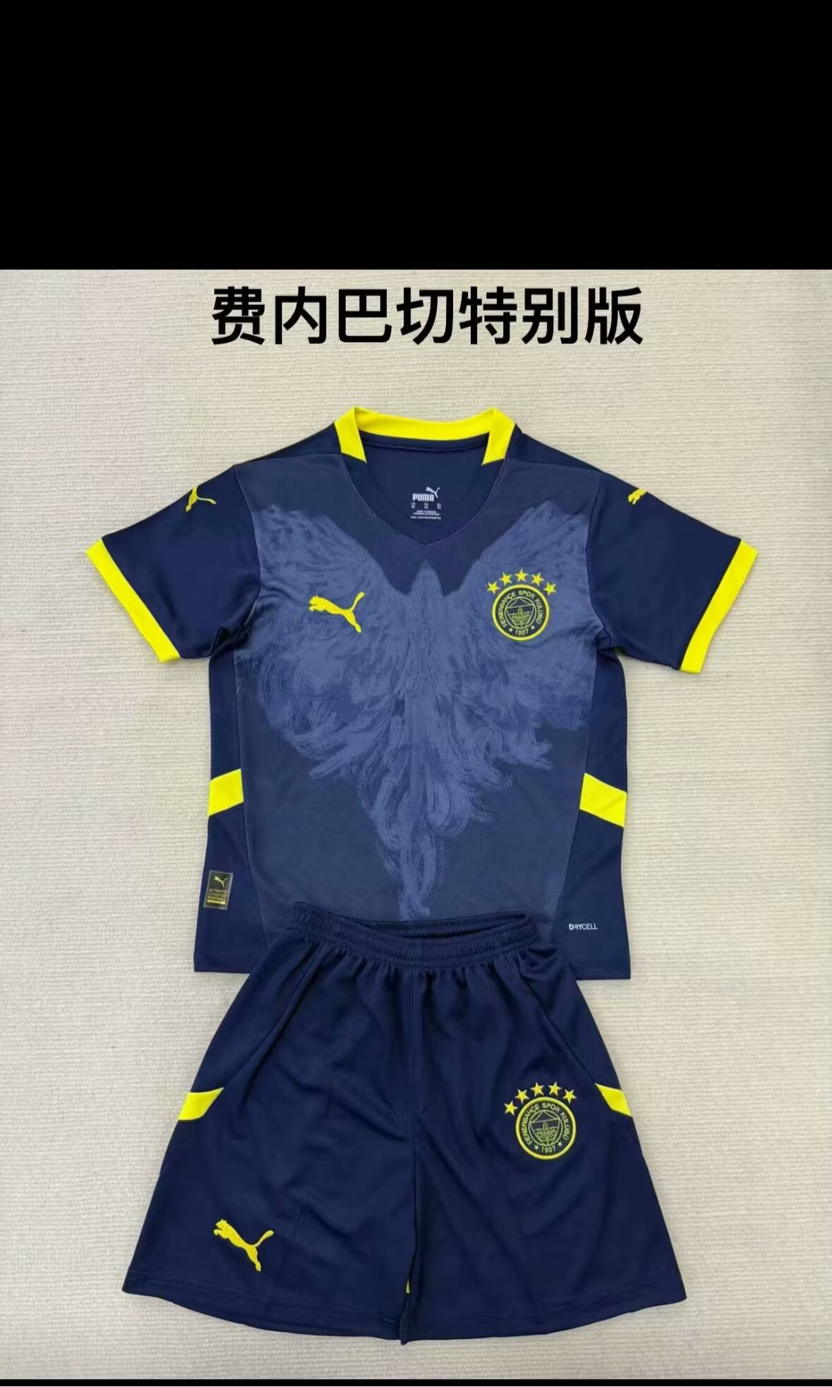 25/26Fenerbahce Adults Kits special version 