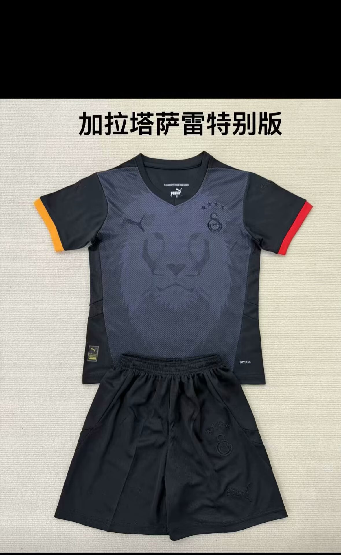 25/26Galatasaray SK Adults Kits special version