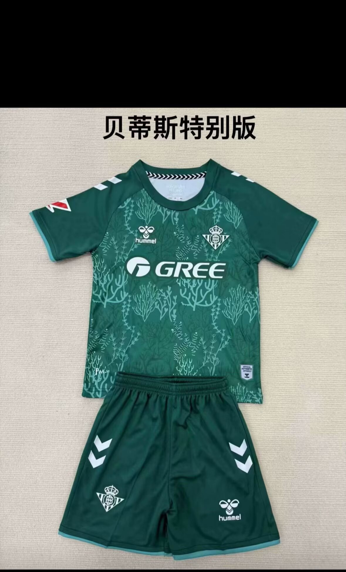 25/26 Real Betis Adults Kits special version