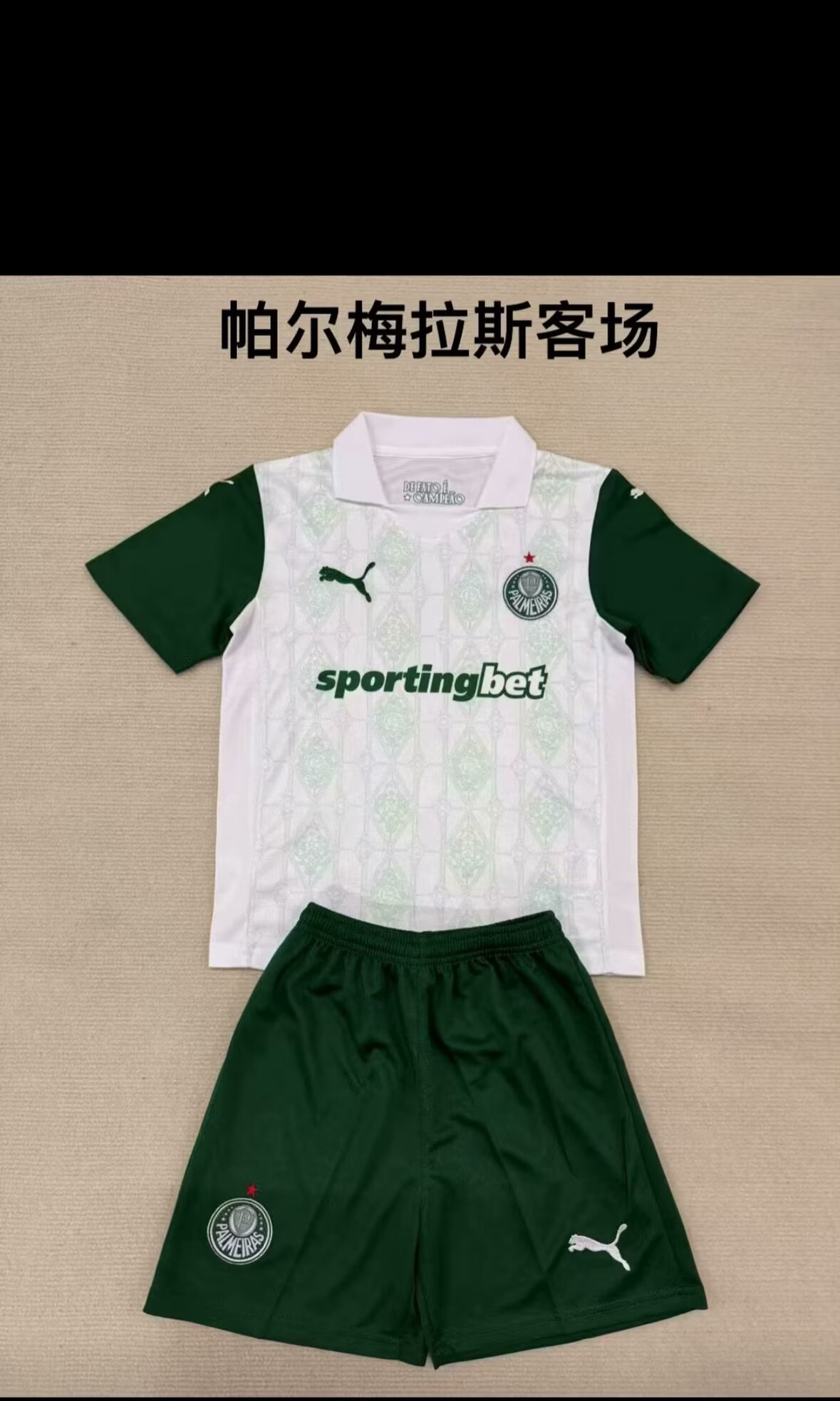 25/26 Palmeiras Adults Kits away