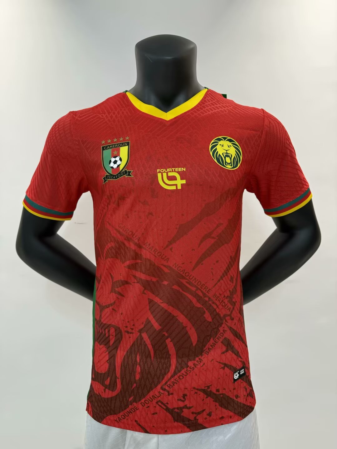 Player Version 25-26 Cameroon 