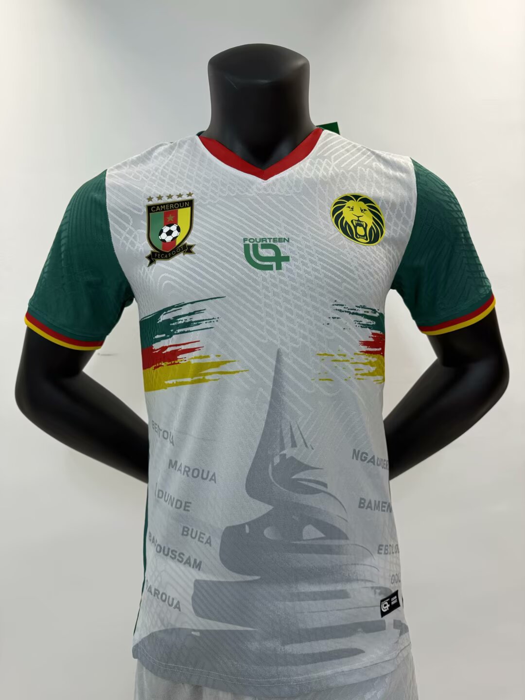 Player Version 25-26 Cameroon home field