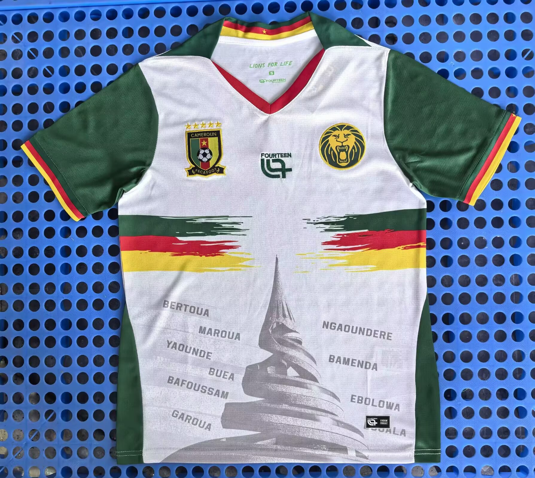 Fans Verison 2526 Cameroon 