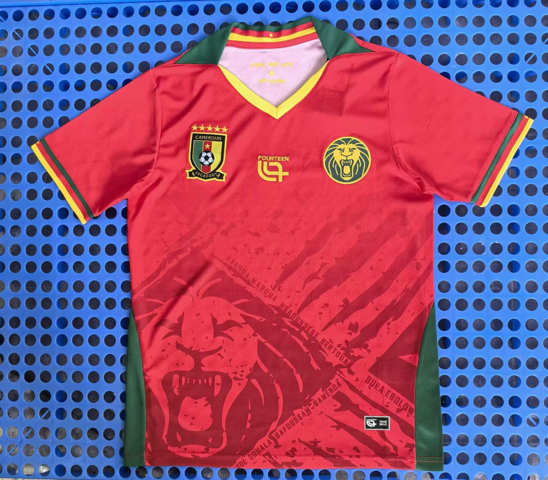 Fans Verison 2526 Cameroon 