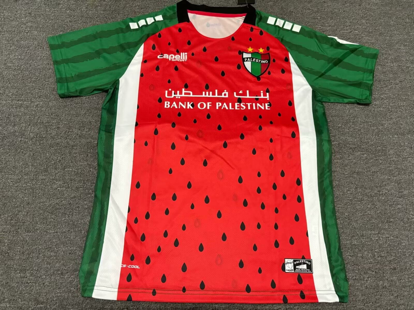 Fans Verison25/26Palestine Special Edition 