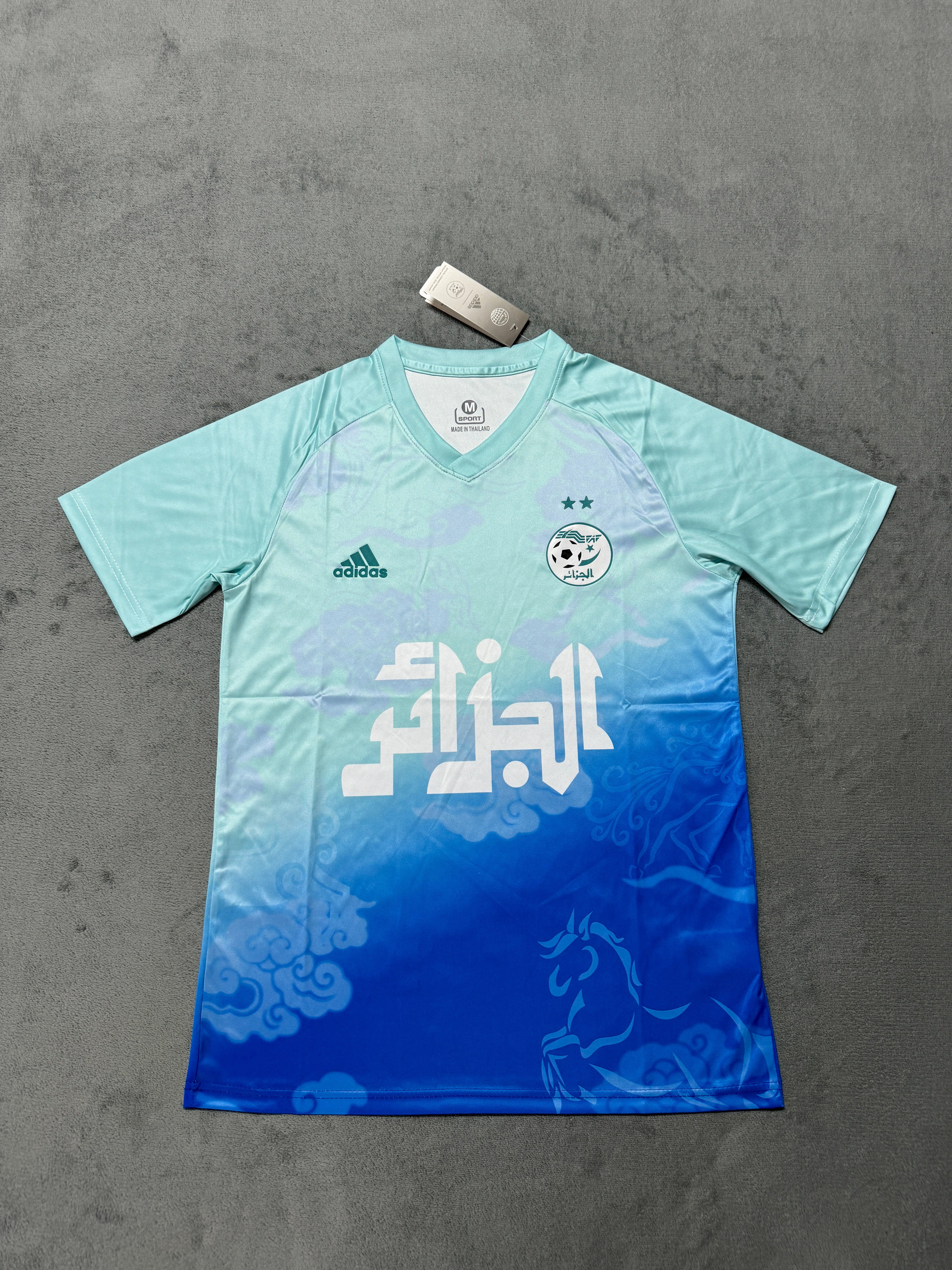 Fans Verison2526Algerian training uniform light blue