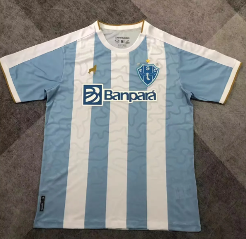 Fans Version 25/26 Paisandu home ground 