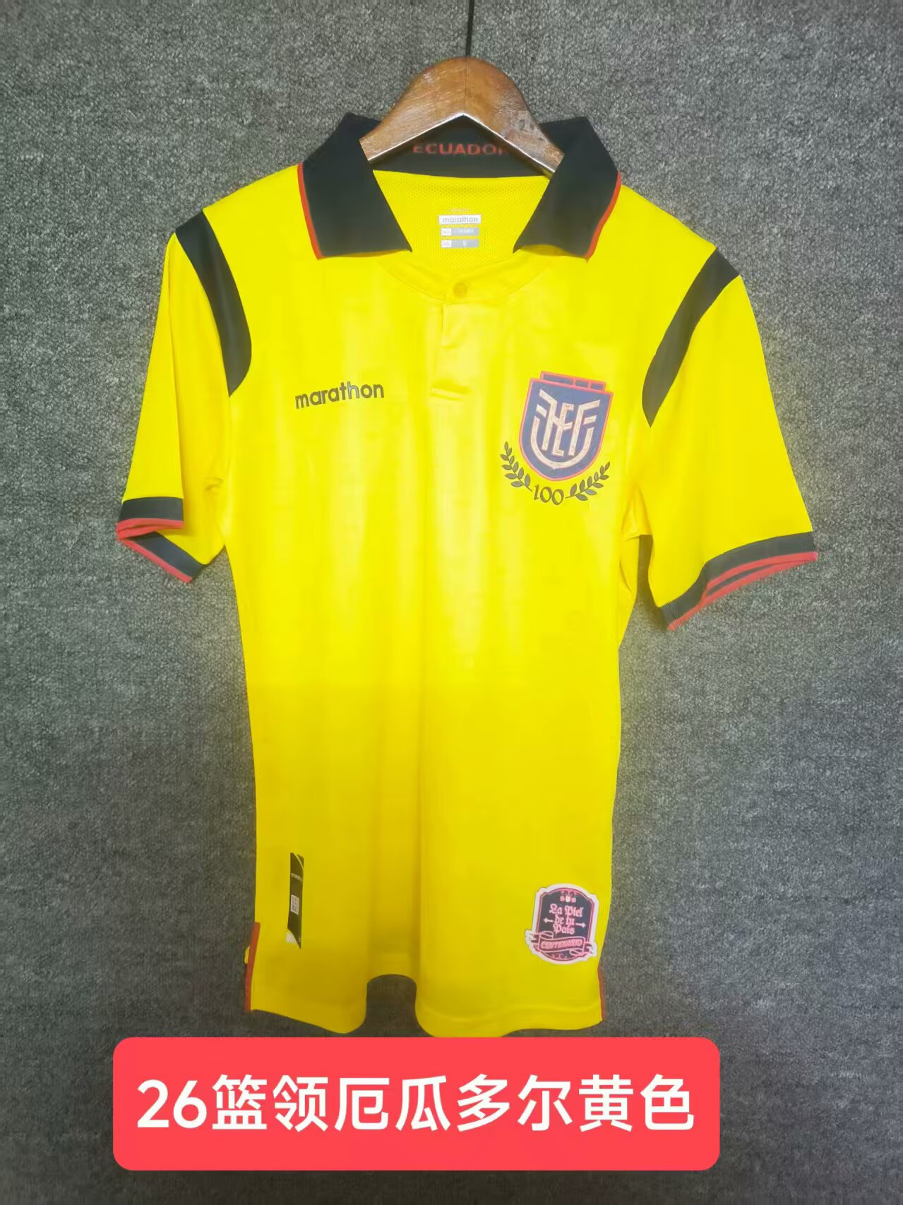 Fans Version 25/26 Ecuador Yellow 