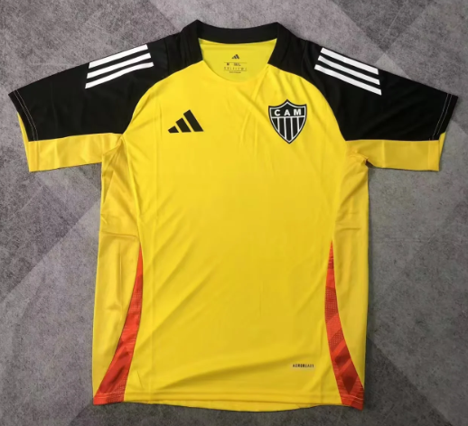 Fans Version 25/26 Mineiro training suit 