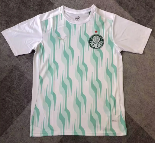 Fans Version 25/26 Palmeiras training suit 