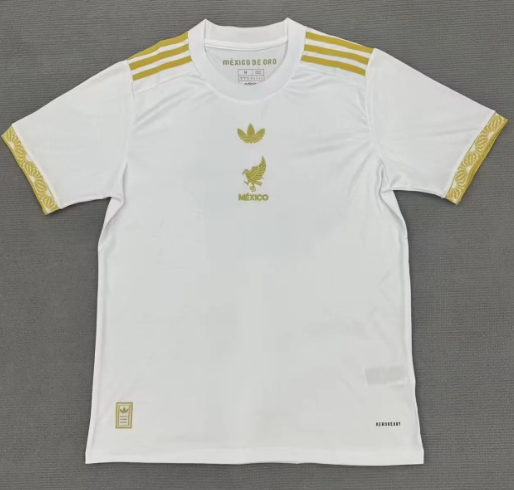 Fans Version 25/26 Mexico Special Edition White WJ