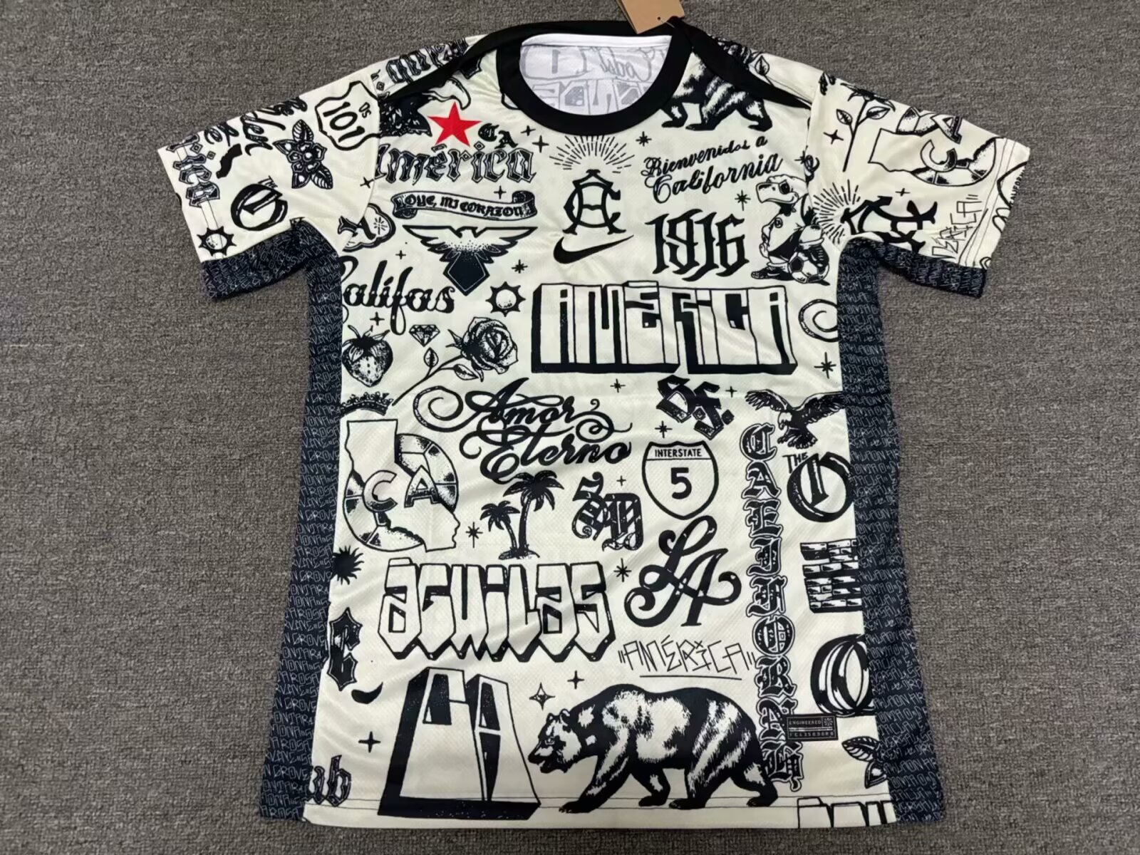 Fans Version 25/26 Americas Pre match Dress 