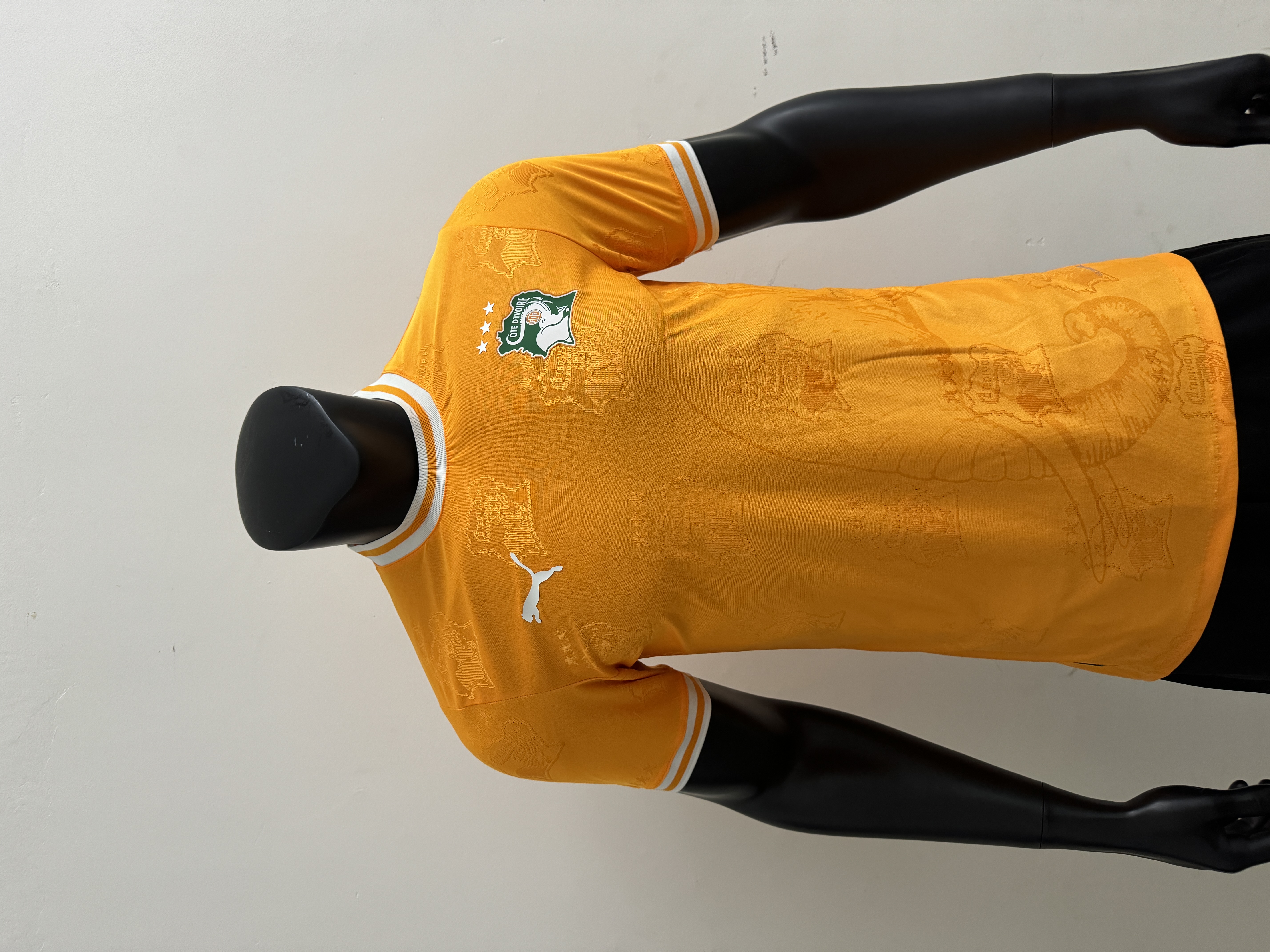  Player Version 25/26 Ivory Coast team logo orange  player