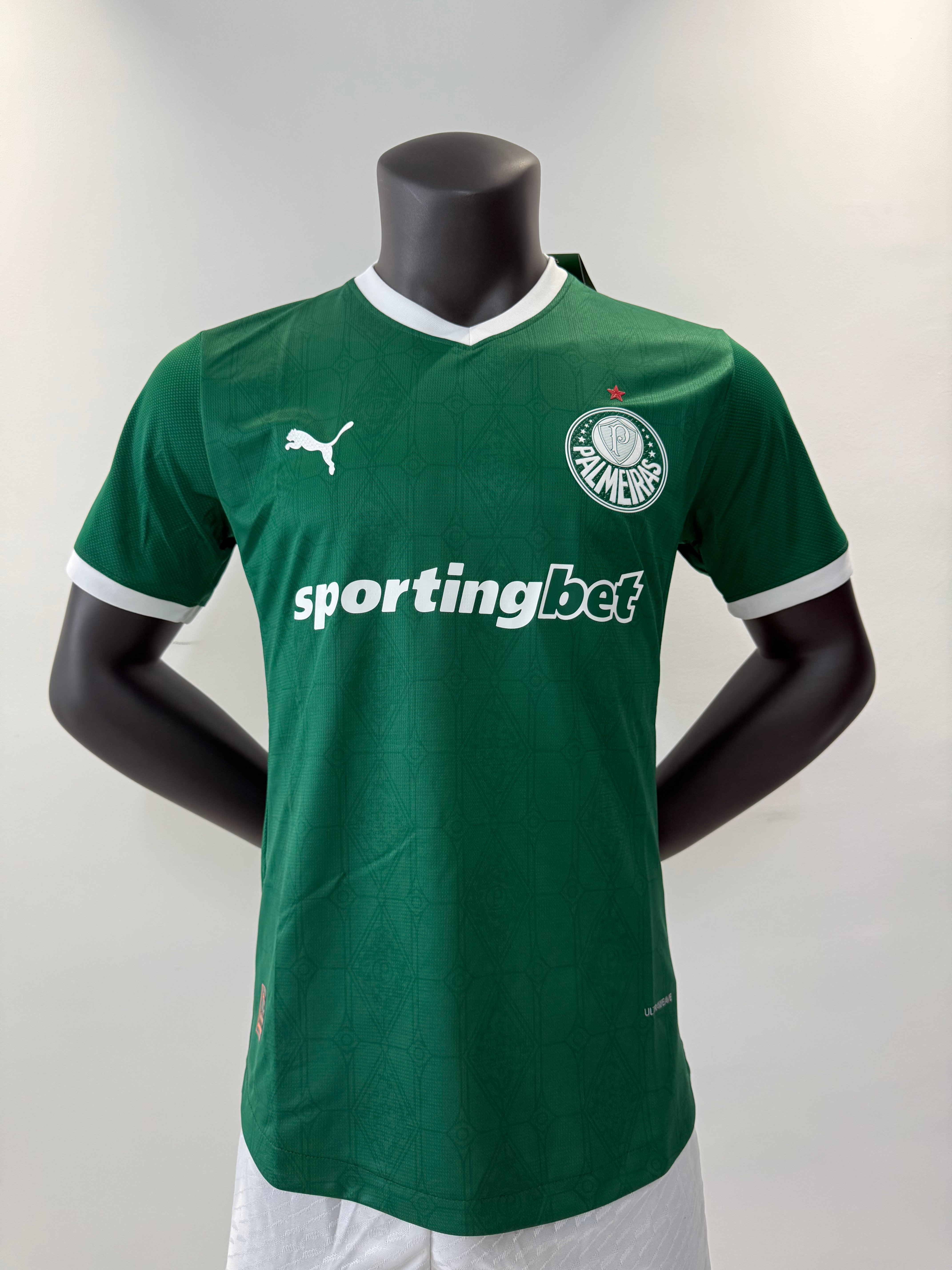 Player Version 25/26 Palmeiras home field