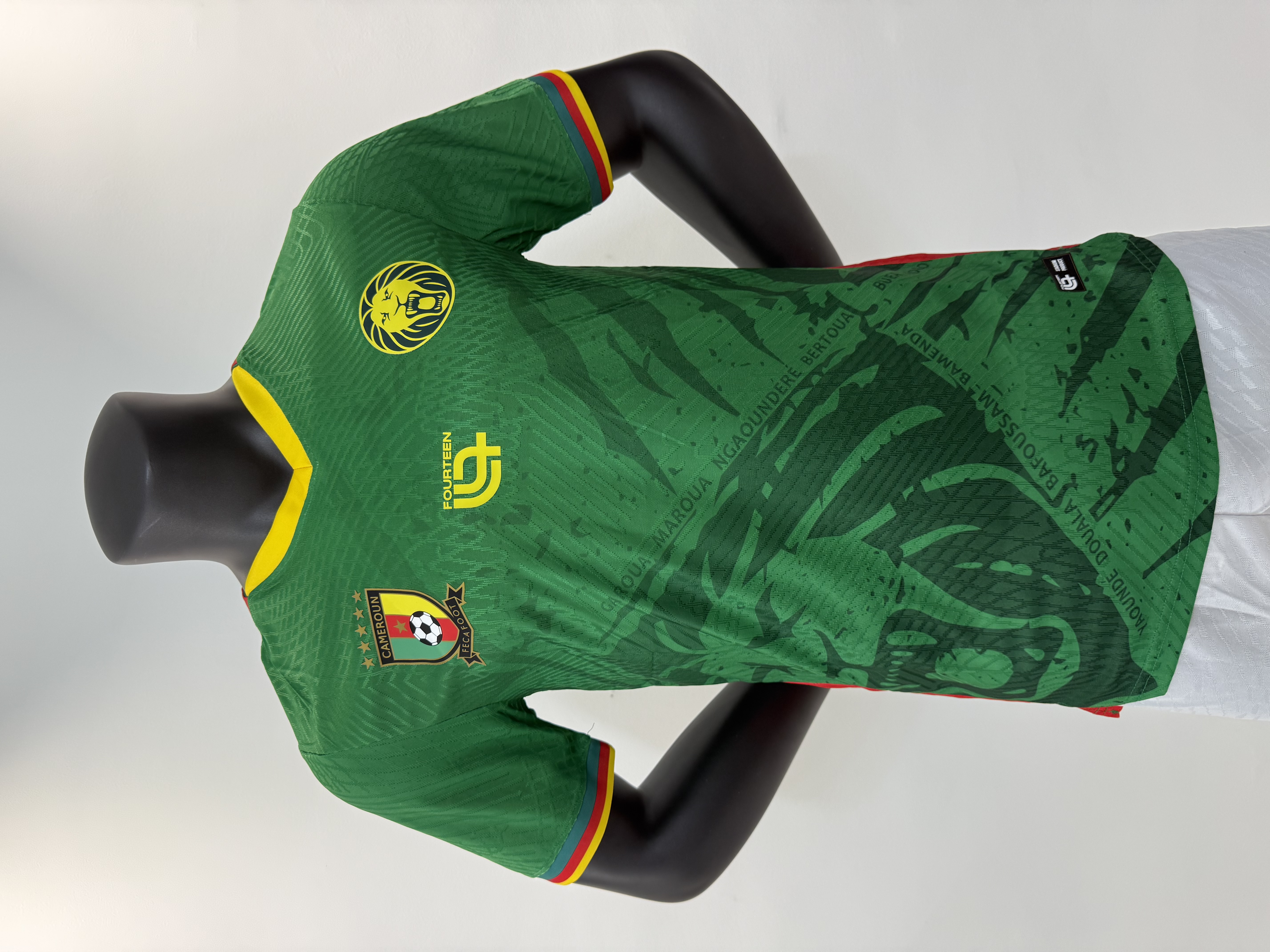 Player Version 25/26 Cameroon's home ground
