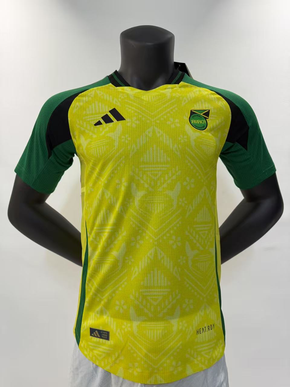 Player Version 25/26 Jamaica home court