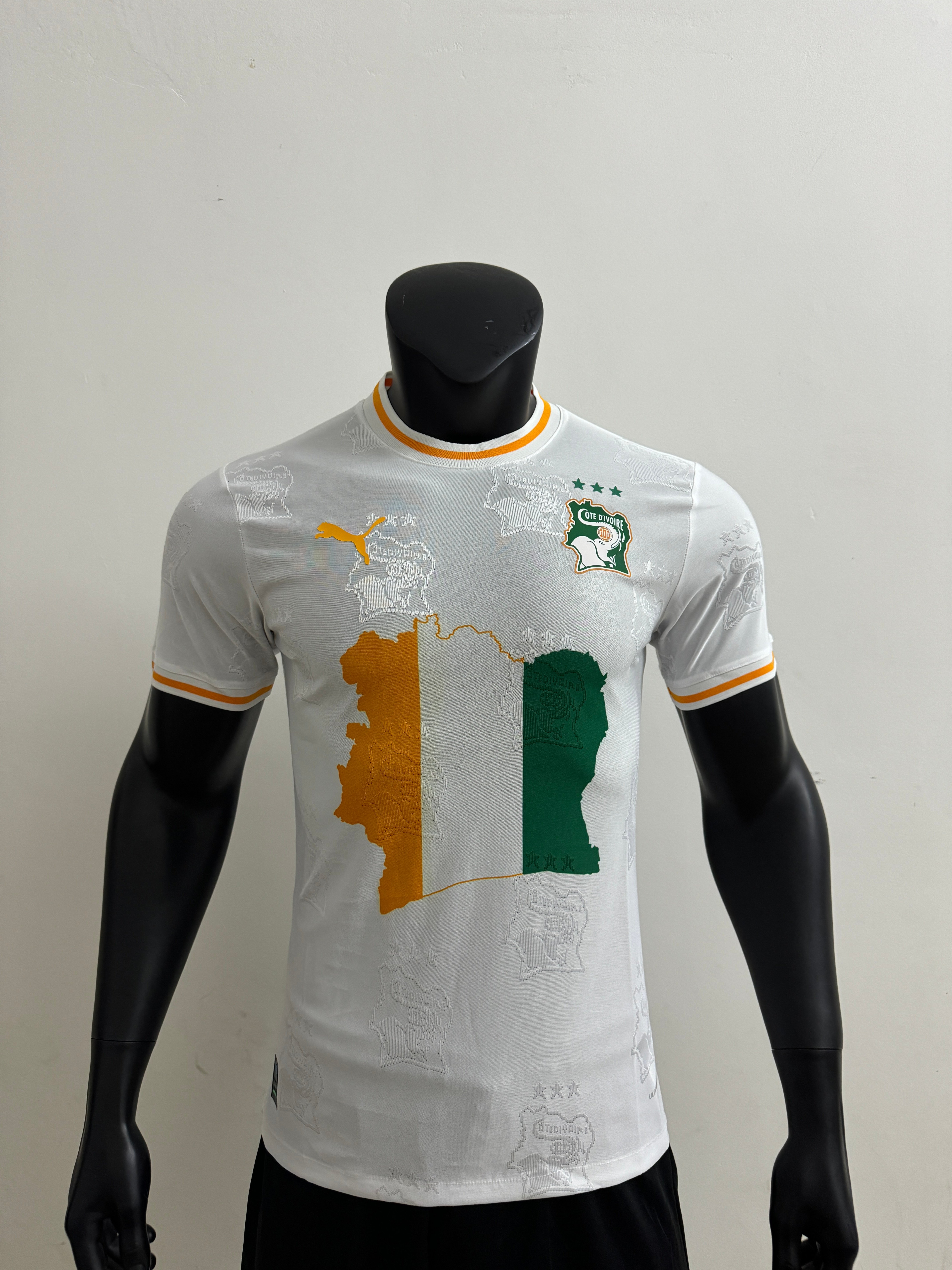  25/26Ivory Coast team logo white player