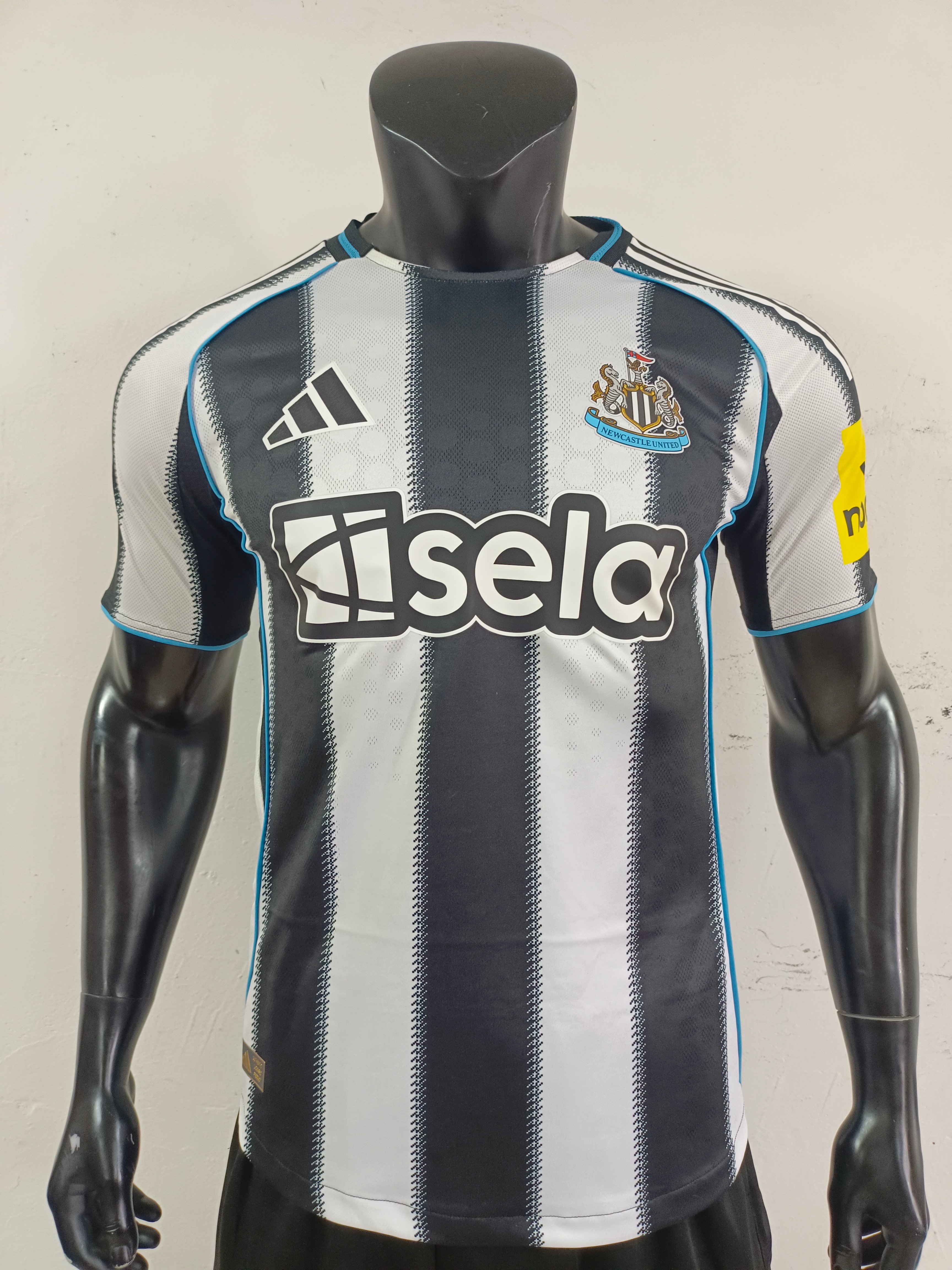 Player Version 25/26 Newcastle's home court