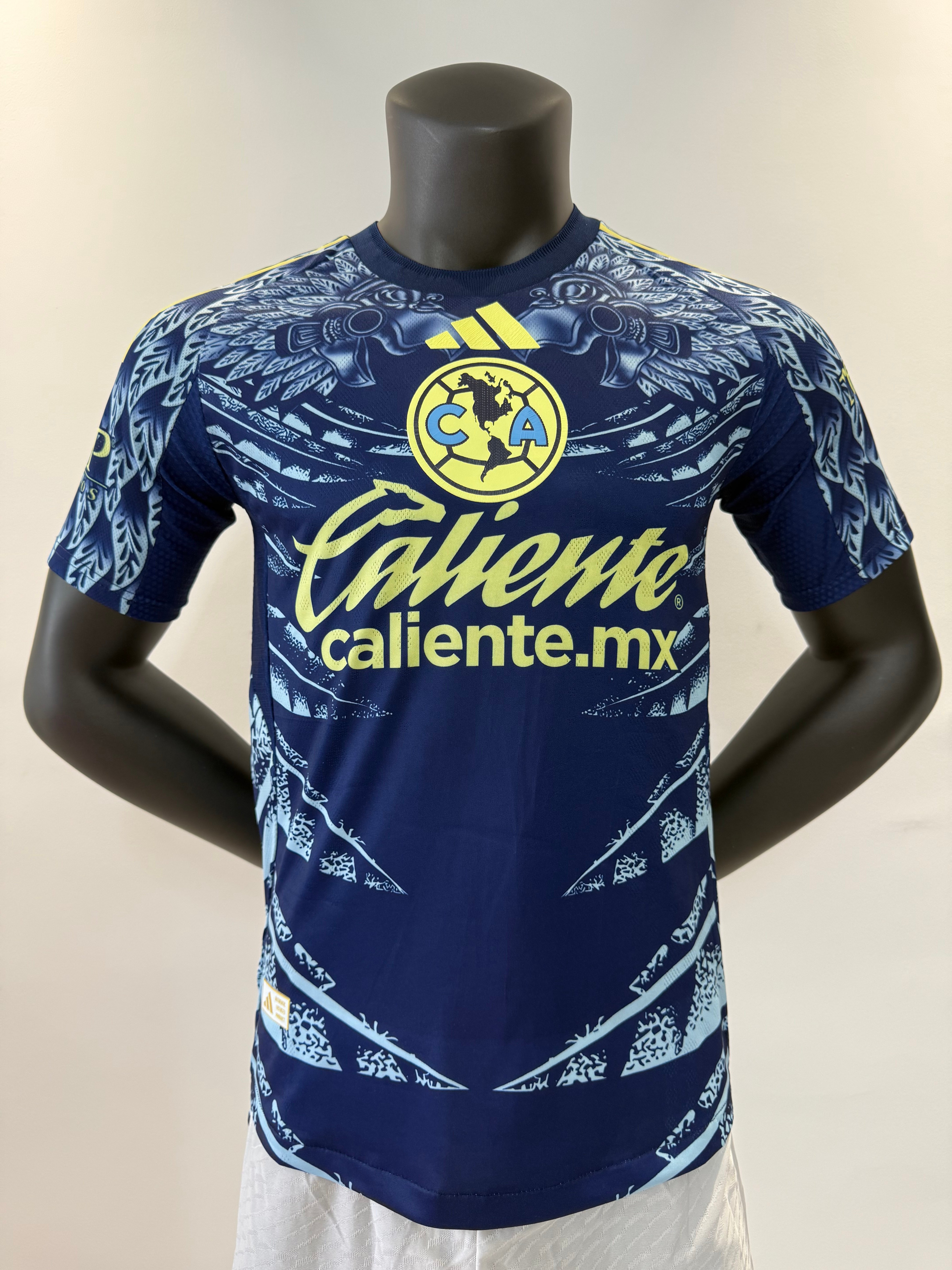 Player Version 25/26 Americas away game