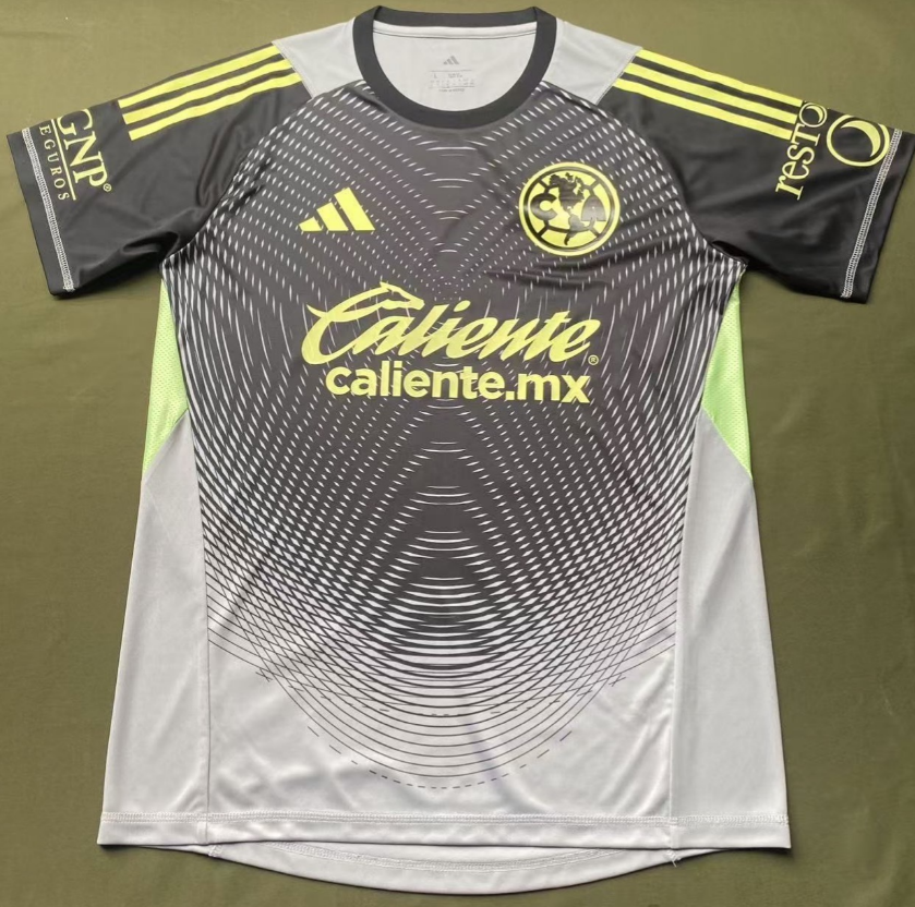 Fans Version 25/26 American goalkeeper gray