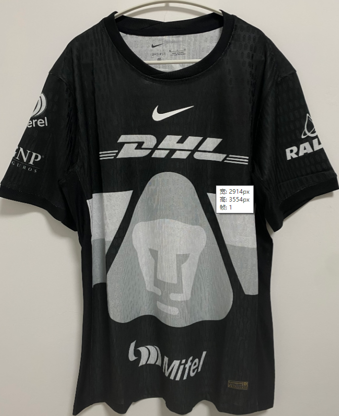Fans Version 25/26 puma goalkeeper Black
