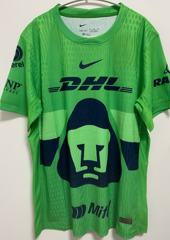 Fans Version 25/26 puma goalkeeper Green