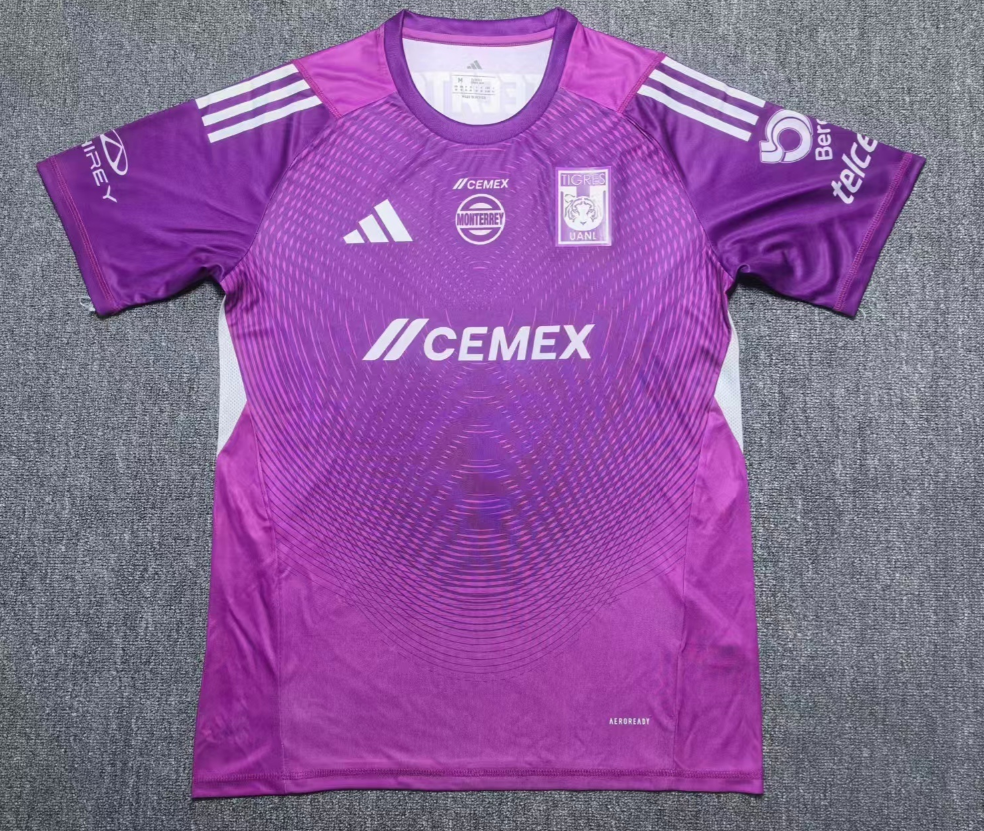 Fans Version 25/26 tiger purple goalkeeper