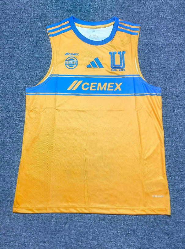 25-26 Tiger home yellow vest