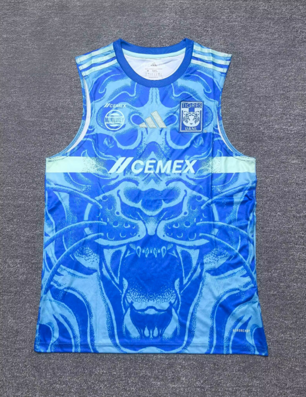 25-26 Tiger away blue vest