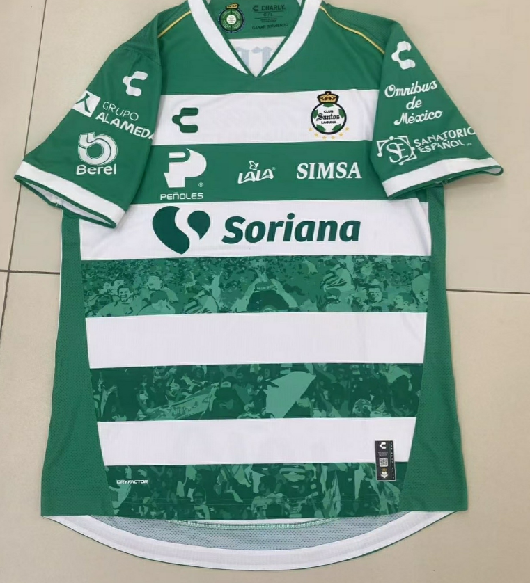 Fans Version 25/26 Santos home