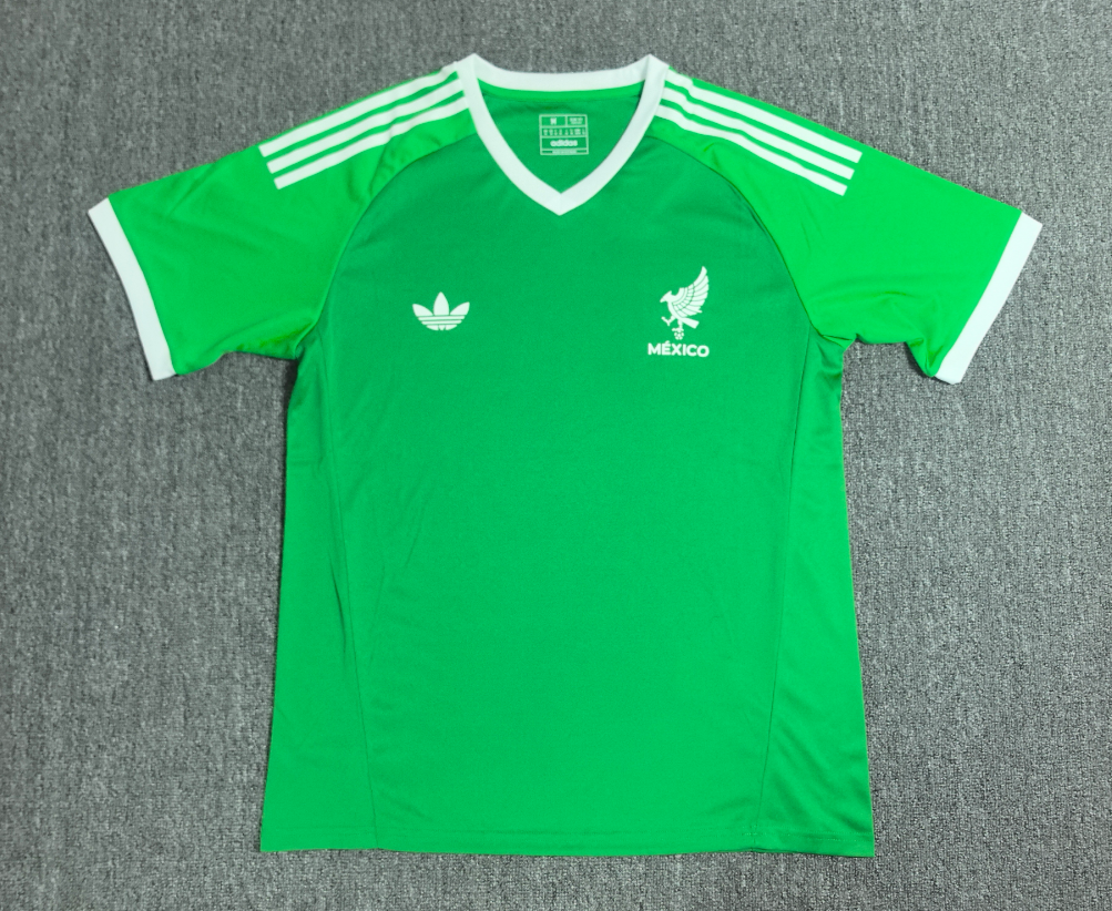 Fans Version 25/26 Mexico training suit green