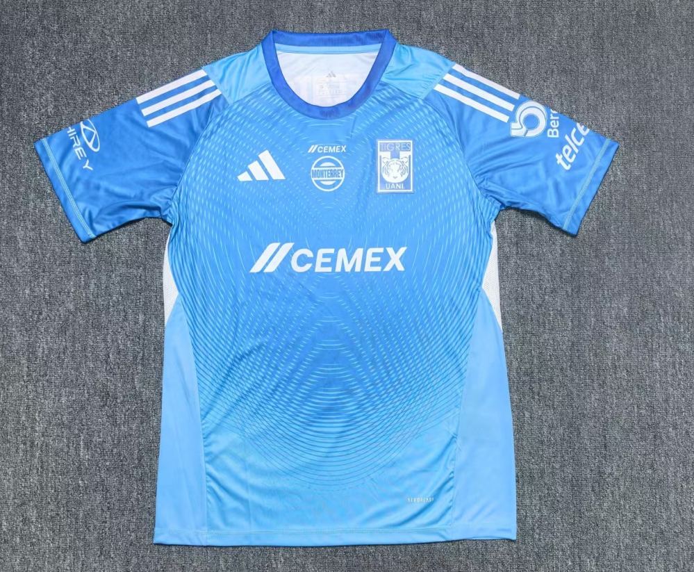Fans Version 25/26 Tiger goalkeeper blue