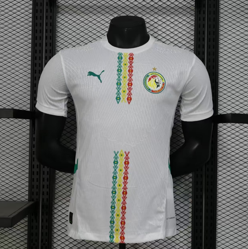 Player Version 25/26 Senegalese away