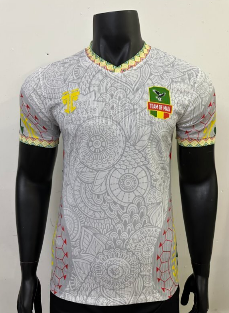 Player Version 25/26 Mali Home