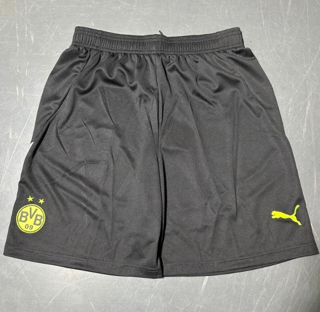  Player Version 25/26 Dortmund Special