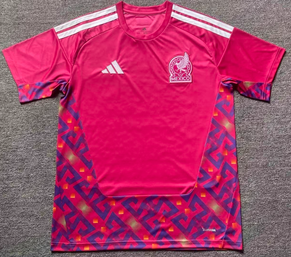 Fan version 25/26 Mexico pink goalkeeper
