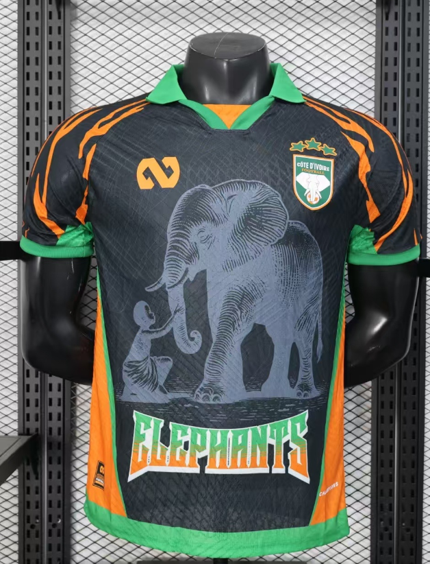 Player Version 25/26 Ivory Coast Special Edition