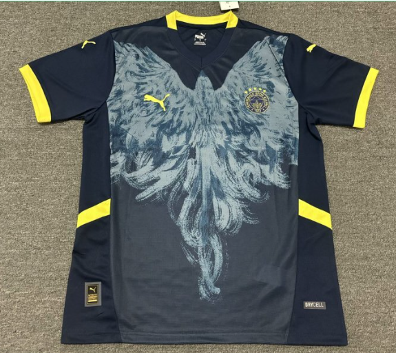 Fan version 25/26 Fenerbahce Special Edition