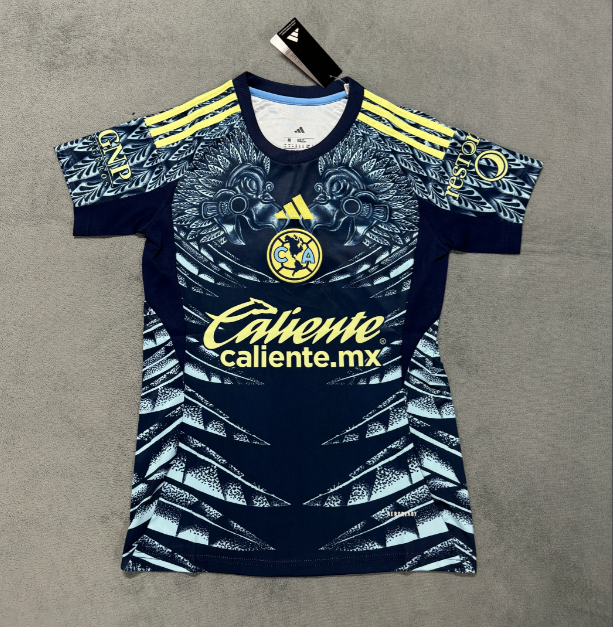 Fans Version 25/26 American away women 