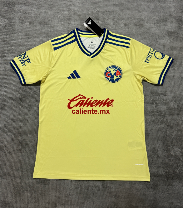 Fan version 26/27 Americas home