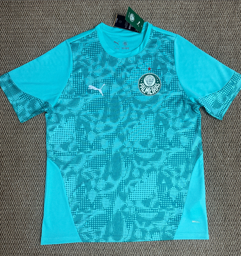 Fans Version 26/27 Palmeiras training